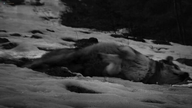 HD порно 120213