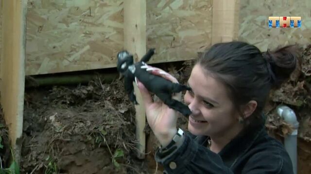 HD порно 167148