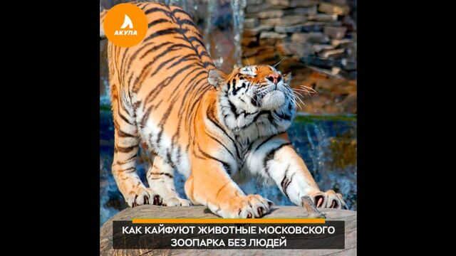 HD порно 116149