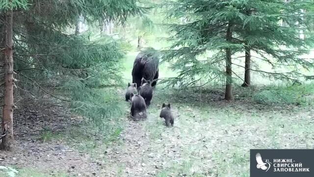 HD порно 170318