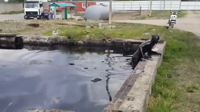 HD порно 140268