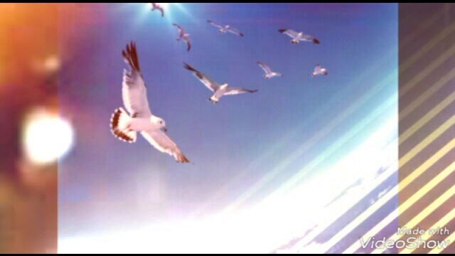 HD порно 191892