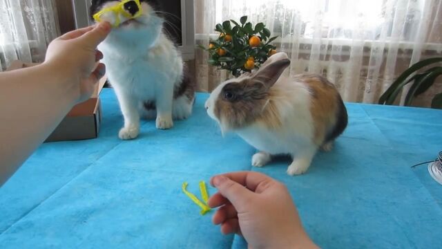 HD порно 163611