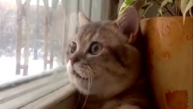 HD порно 139660