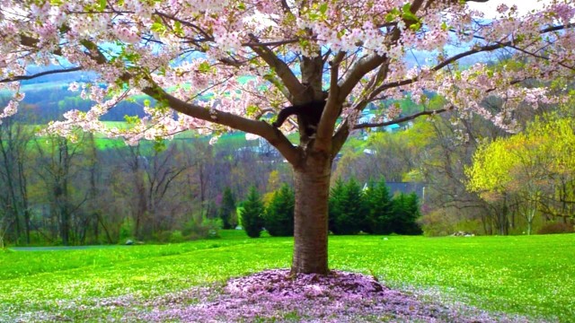 HD порно 206756