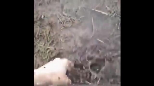 HD порно 178378