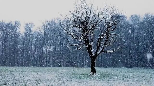 HD порно 171074