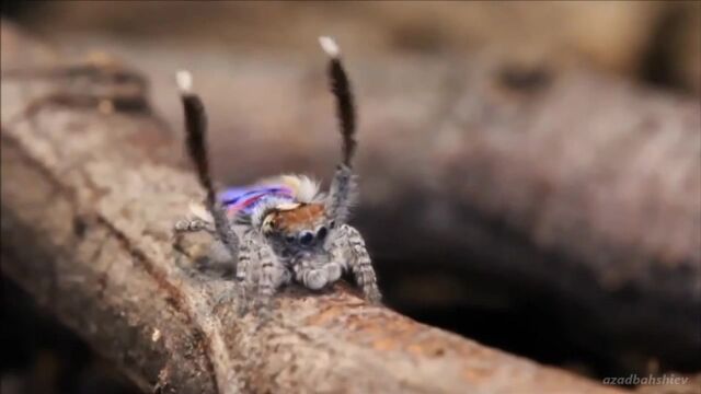 HD порно 148022