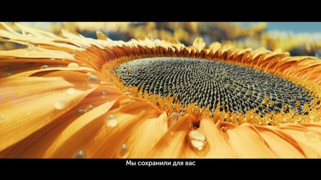 HD порно 179272