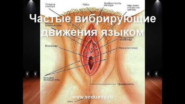 HD порно 26300