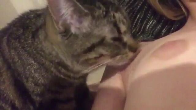 HD порно 218856