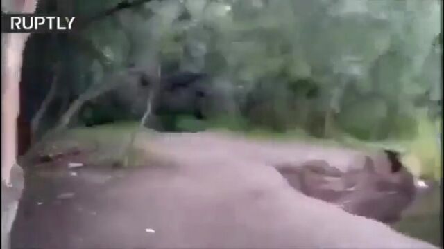 HD порно 171347