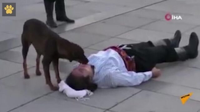 HD порно 188109