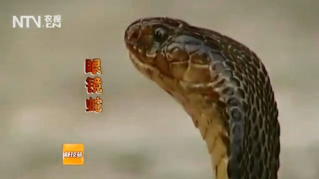 HD порно 186348