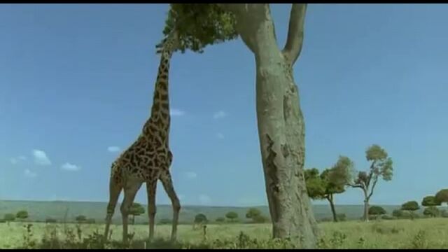 HD порно 121696