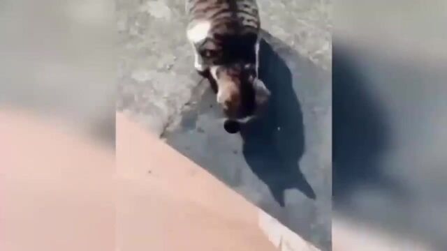 HD порно 104720