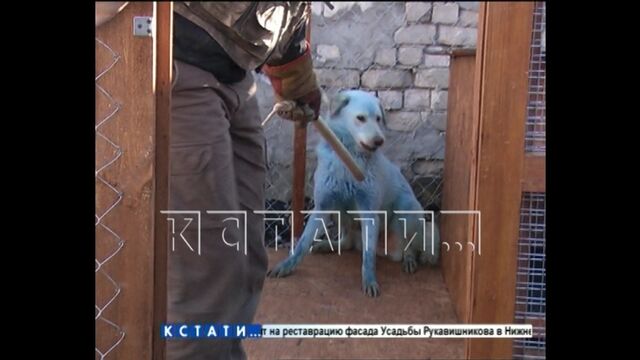 HD порно 157667