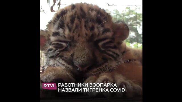 HD порно 110626