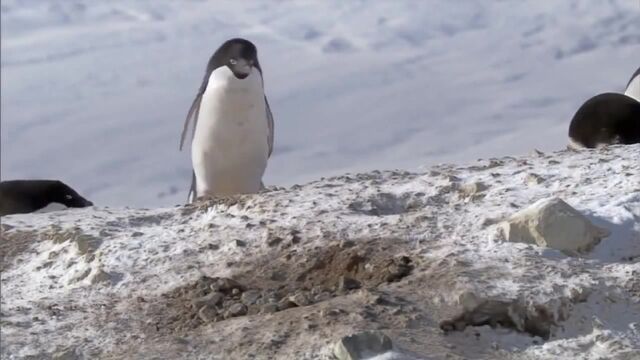 HD порно 190402