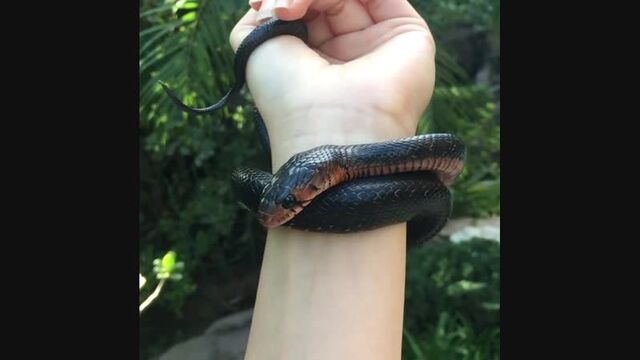 HD порно 111052