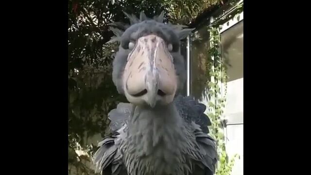 HD порно 119213