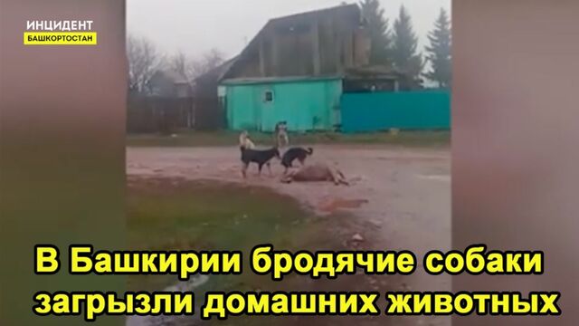 HD порно 116418