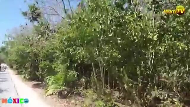 HD порно 122690