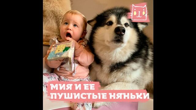 HD порно 189287