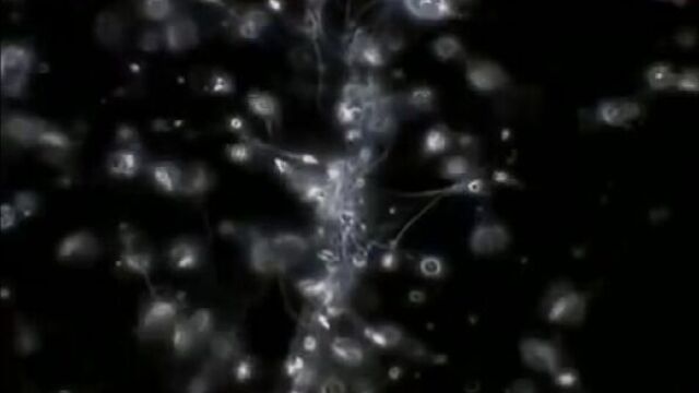 HD порно 220578