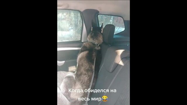 HD порно 183739