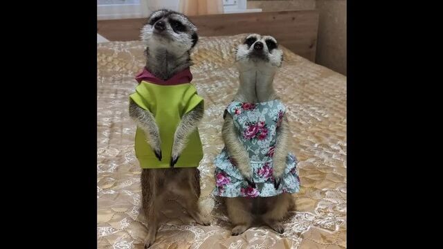 HD порно 183577