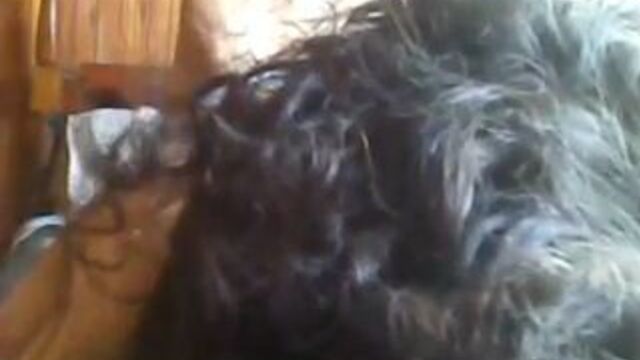 HD порно 227157