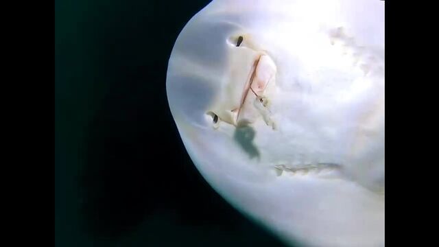 HD порно 174304