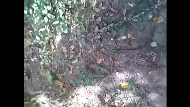 HD порно 159837