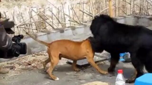 HD порно 146661