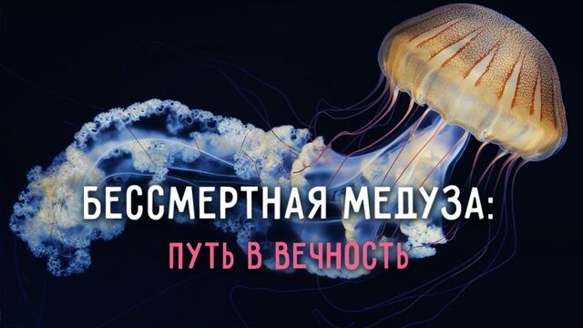 HD порно 188393