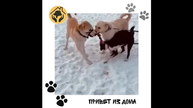 HD порно 174480