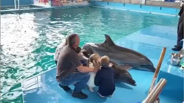 HD порно 109581