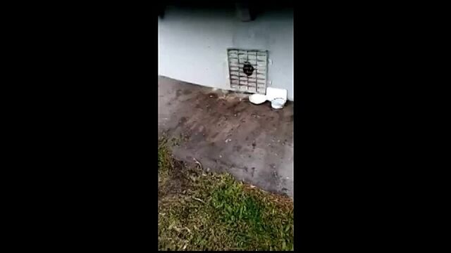 HD порно 113326