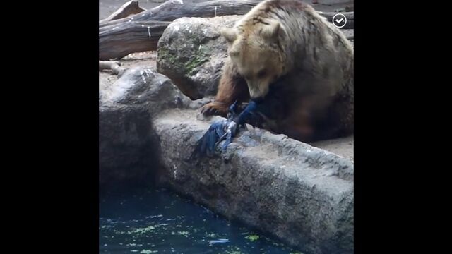 HD порно 156239