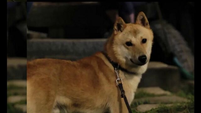 HD порно 168668