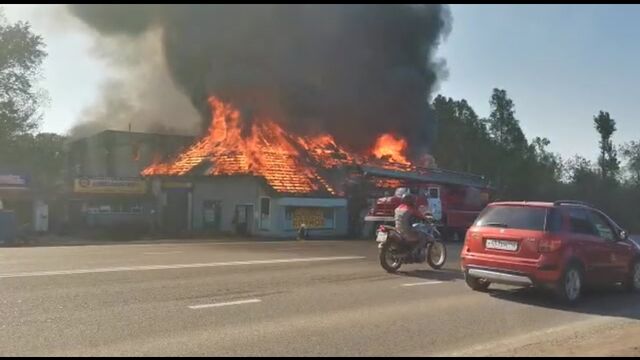 HD порно 126681