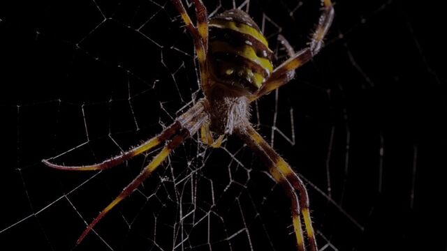 HD порно 139519