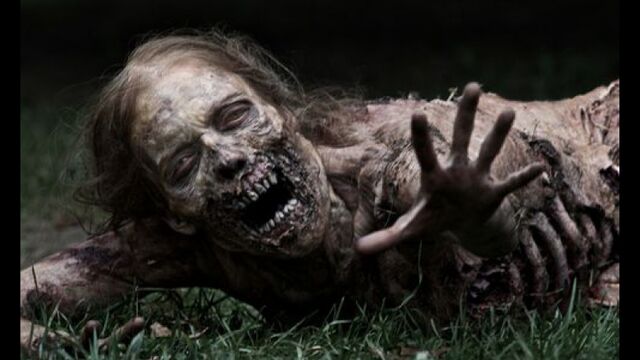 HD порно 186778