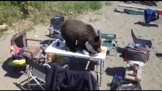 HD порно 187550