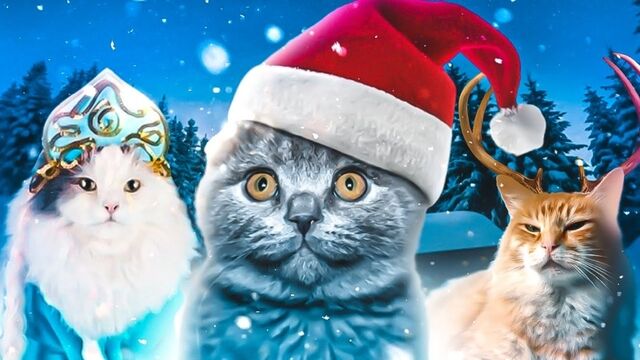 HD порно 146687