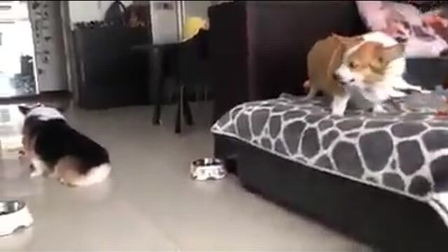 HD порно 151296