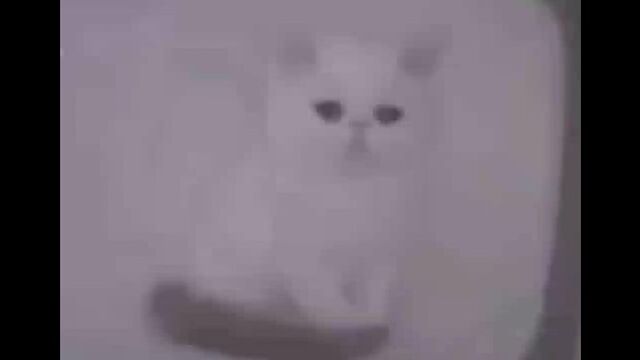 HD порно 186117