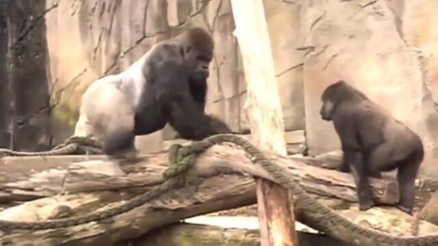 HD порно 185732