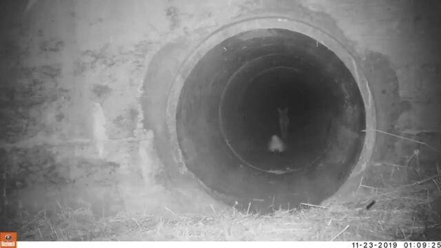 HD порно 157343